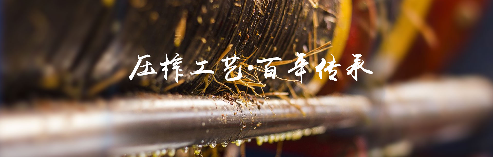 MG电子_油茶种植出产加工销售|植物油种植出产加工销售